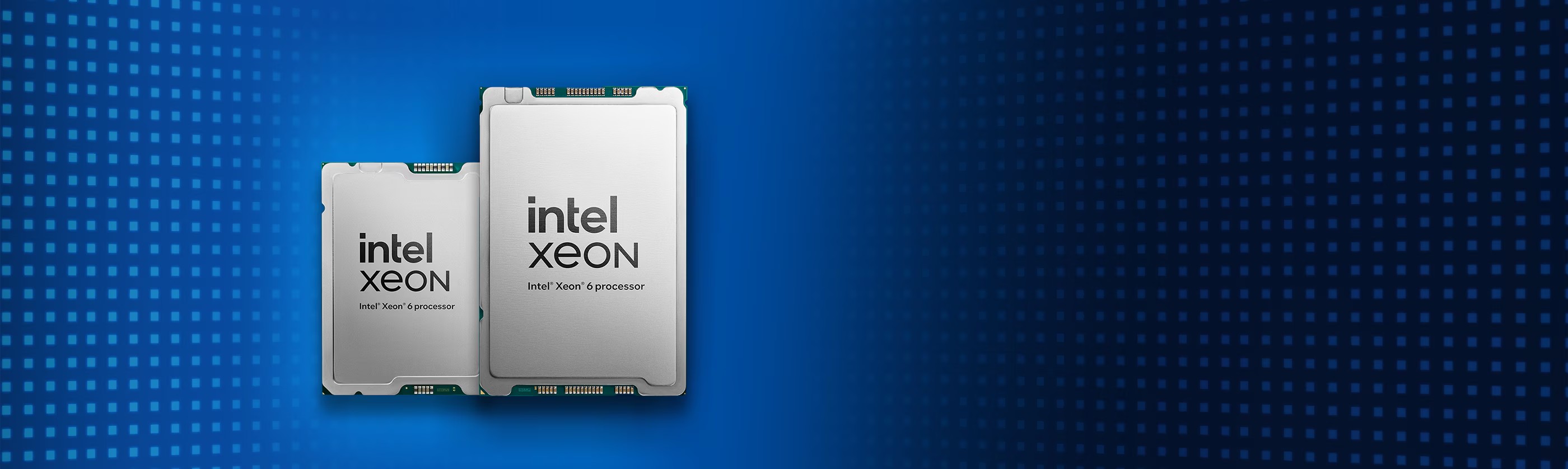 intel-xeon-gaudi-6-soc-desktop.jpg